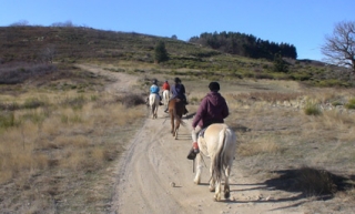  Passeio equestre itinerante no inverno